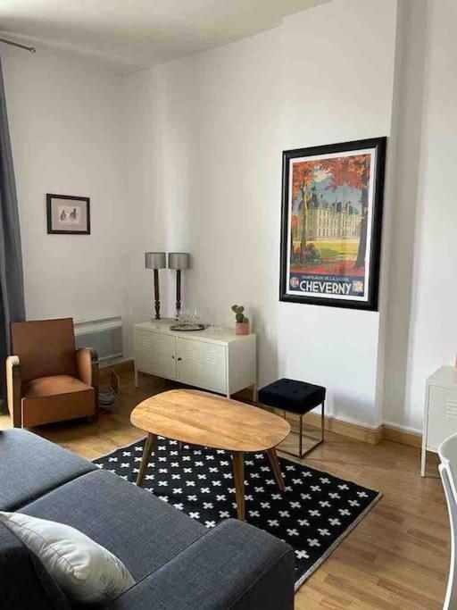 Appartamento ~Rosa Bonheur~Hyper Centre Blois Esterno foto